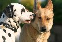 finn_und_ronja0020