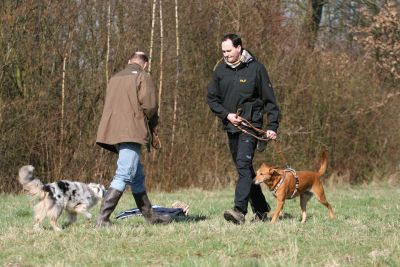 hannesundhase