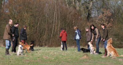 hundegruppe1