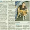 neugeschichtesimbawz_2